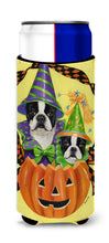 Load image into Gallery viewer, Boston Terrier Halloweenies  Hugger for slim cans PPP3033MUK