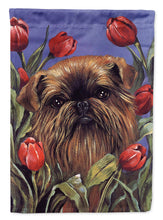 Load image into Gallery viewer, Brussels Griffon Peek a Boo Flag Canvas House Size PPP3041CHF