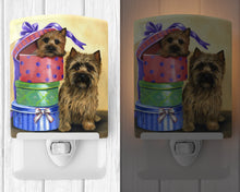 Load image into Gallery viewer, Cairn Terrier Boudoir Ceramic Night Light PPP3045CNL