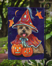 Load image into Gallery viewer, Cairn Terrier Halloween Witch Garden Flag – Decorative Outdoor Yard Flag PPP3061GF