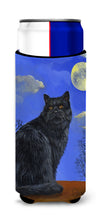 Load image into Gallery viewer, Black Cat Hocus Pocus Halloween  Hugger for slim cans PPP3142MUK