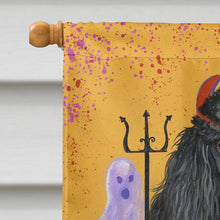 Load image into Gallery viewer, Poodle Halloween Flag Canvas House Size PPP3146CHF