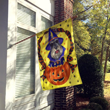 Load image into Gallery viewer, Schnauzer Halloween Flag Canvas House Size PPP3161CHF