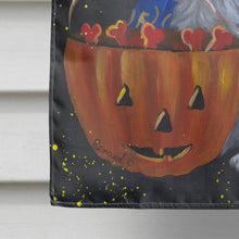 Load image into Gallery viewer, Sheltie Halloween Witch Flag Canvas House Size PPP3186CHF
