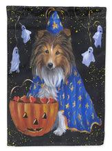 Load image into Gallery viewer, Sheltie Halloween Witch Flag Canvas House Size PPP3186CHF