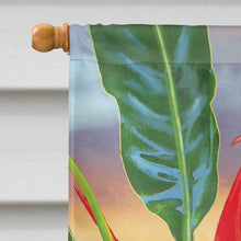 Load image into Gallery viewer, Buff Bellied Hummingbird Flag Canvas House Size PRS4019CHF