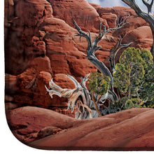 Load image into Gallery viewer, Great Horned Owl In The Desert Dish Drying Mat – Absorbent, Artistic Kitchen Essentials PRS4052DDM
