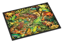 Load image into Gallery viewer, Frogs Doormat - 24x36 Decorative Floor Mat – Indoor/Outdoor Rug with Artistic Flair PRS4053JMAT