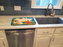 Load image into Gallery viewer, Conch Starfish And Cockle II Dish Drying Mat – Absorbent, Artistic Kitchen Essentials PRS4057DDM
