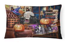 Load image into Gallery viewer, Halloween Black Cats Our Favorite Time Canvas Fabric Decorative Pillow PTW2069PW1216