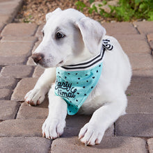 Load image into Gallery viewer, Party Animal Pet Bandana | In Blue With Printed Hearts Designs