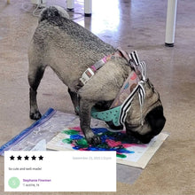 Load image into Gallery viewer, Party Animal Pet Bandana | In Blue With Printed Hearts Designs