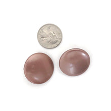 Load image into Gallery viewer, Metallic Brown Disc Stud Earrings