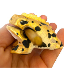 Load image into Gallery viewer, 1.5" Extra Small Painted Golden Wooden Musical Frog Percussion Instrument