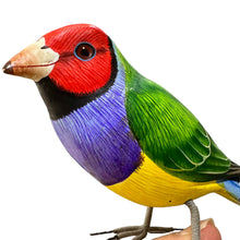 Load image into Gallery viewer, Wooden Hand-painted Red Finch Bird Figurine Decoration