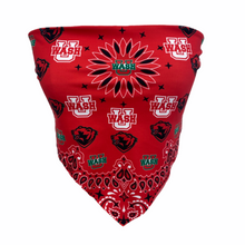 Load image into Gallery viewer, WashU Bandana Top