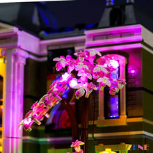 Load image into Gallery viewer, Light Kit for LEGO Natural History Museum #10326(Ver.2)