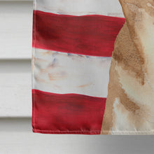 Load image into Gallery viewer, USA American Flag Chihuahua Flag Canvas House Size RDR3009CHF