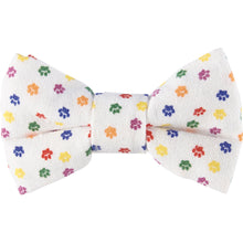 Load image into Gallery viewer, Rainbow Plaid Pet Bow Tie Set | LGBTQ Pride Pet Accessories | Gift For Cat/Dog Lover