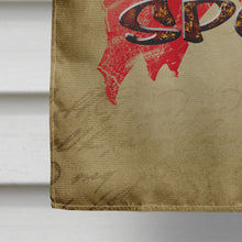 Load image into Gallery viewer, Hex marks the spot Halloween Flag Canvas House Size
