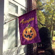 Load image into Gallery viewer, Hello Pumpkin Halloween Flag Canvas House Size