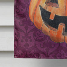 Load image into Gallery viewer, Hello Pumpkin Halloween Flag Canvas House Size