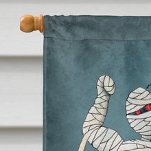 Load image into Gallery viewer, Monster Mash with Mummy Halloween Flag Canvas House Size