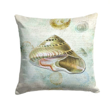 Load image into Gallery viewer, Shells Throw Pillow - 14x14 Decorative Pillow – Art for Your Home &amp; Patio