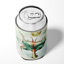 Load image into Gallery viewer, Mermaids and Mermen Mermaid Tail Can or Bottle Beverage Insulator Hugger