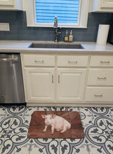Load image into Gallery viewer, Pig at the barn door Machine Washable Memory Foam Mat SB3072RUG