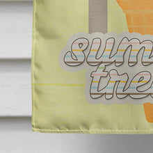 Load image into Gallery viewer, Summer Treats Flag Canvas House Size SB3111CHF
