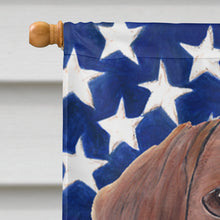 Load image into Gallery viewer, USA American Flag with Dachshund Flag Canvas House Size