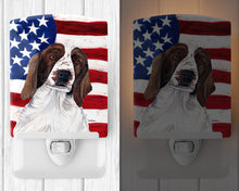 Load image into Gallery viewer, USA American Flag with Welsh Springer Spaniel Ceramic Night Light SC9024CNL