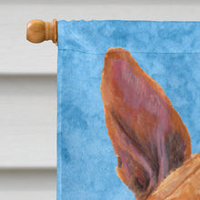 Load image into Gallery viewer, Basenji Flag Canvas House Size