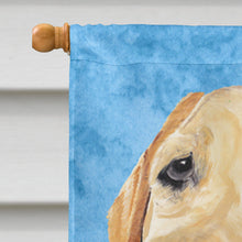 Load image into Gallery viewer, Labrador Flag Canvas House Size