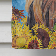 Load image into Gallery viewer, Yorkie Flag Canvas House Size