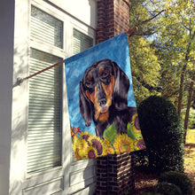 Load image into Gallery viewer, Dachshund Flag Canvas House Size