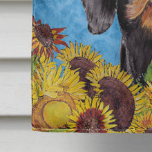 Load image into Gallery viewer, Dachshund Flag Canvas House Size