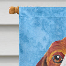 Load image into Gallery viewer, Beagle Flag Canvas House Size