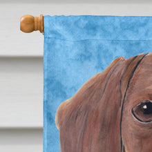 Load image into Gallery viewer, Dachshund Flag Canvas House Size