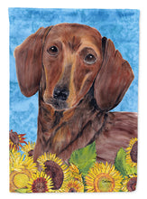 Load image into Gallery viewer, Dachshund Flag Canvas House Size