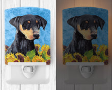 Load image into Gallery viewer, Doberman in Summer Flowers Ceramic Night Light SC9073CNL