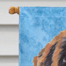 Load image into Gallery viewer, Saint Bernard Flag Canvas House Size