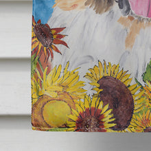 Load image into Gallery viewer, Saint Bernard Flag Canvas House Size