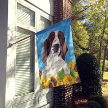 Load image into Gallery viewer, Welsh Springer Spaniel Flag Canvas House Size