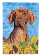 Load image into Gallery viewer, Vizsla Flag Canvas House Size