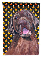 Load image into Gallery viewer, Labrador Chocolate Candy Corn Halloween Flag Canvas House Size