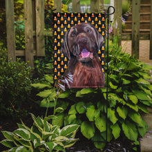 Load image into Gallery viewer, Labrador Chocolate Candy Corn Halloween Portrait Garden Flag – Decorative Outdoor Yard Flag