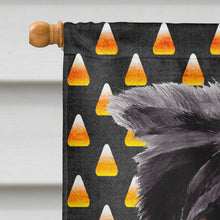 Load image into Gallery viewer, Border Collie Candy Corn Halloween Portrait Flag Canvas House Size