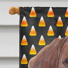 Load image into Gallery viewer, Dachshund Candy Corn Halloween Portrait Flag Canvas House Size